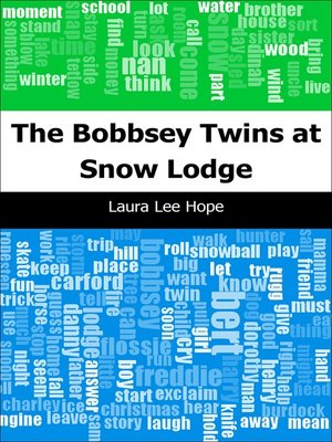 cover image of The Bobbsey Twins at Snow Lodge
